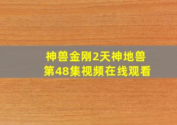 神兽金刚2天神地兽第48集视频在线观看