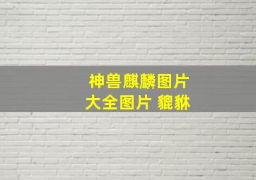 神兽麒麟图片大全图片 貔貅