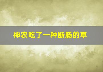 神农吃了一种断肠的草