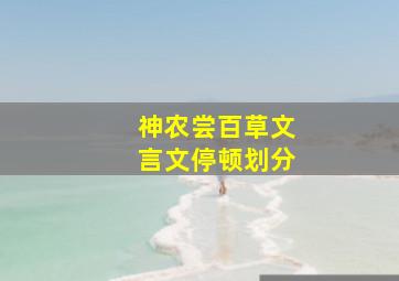 神农尝百草文言文停顿划分