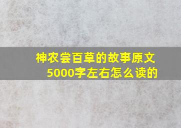 神农尝百草的故事原文5000字左右怎么读的