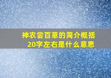 神农尝百草的简介概括20字左右是什么意思