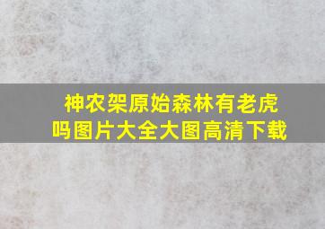 神农架原始森林有老虎吗图片大全大图高清下载