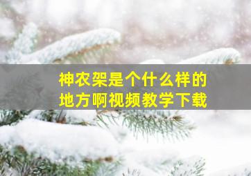 神农架是个什么样的地方啊视频教学下载