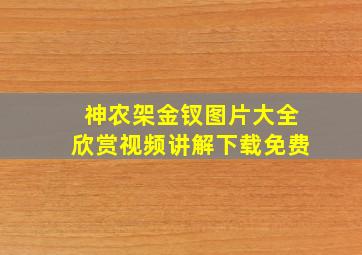 神农架金钗图片大全欣赏视频讲解下载免费