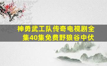 神勇武工队传奇电视剧全集40集免费野狼谷中伏