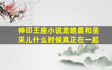 神印王座小说龙皓晨和圣采儿什么时候真正在一起