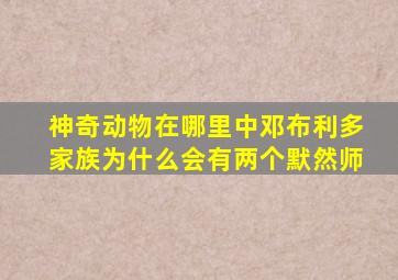 神奇动物在哪里中邓布利多家族为什么会有两个默然师