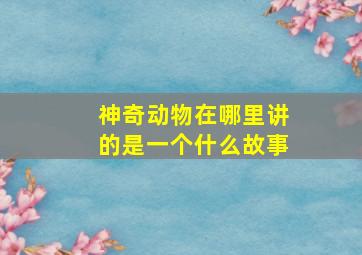 神奇动物在哪里讲的是一个什么故事