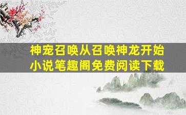 神宠召唤从召唤神龙开始小说笔趣阁免费阅读下载