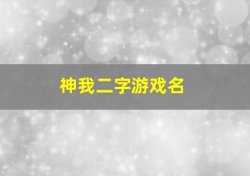 神我二字游戏名