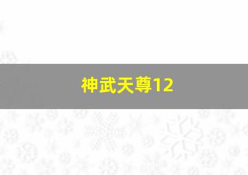 神武天尊12