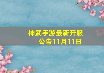 神武手游最新开服公告11月11日