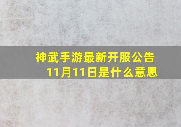 神武手游最新开服公告11月11日是什么意思