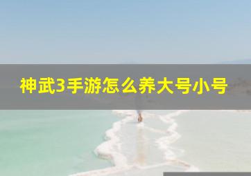 神武3手游怎么养大号小号