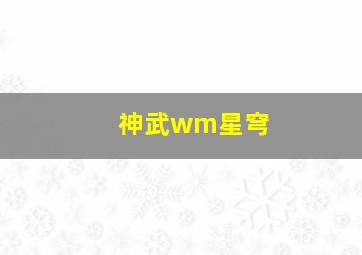 神武wm星穹