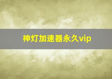 神灯加速器永久vip