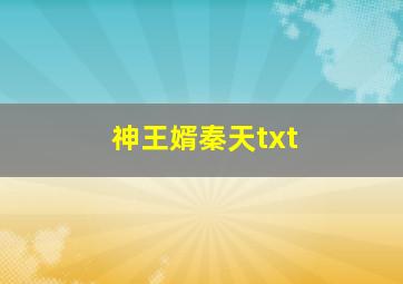 神王婿秦天txt