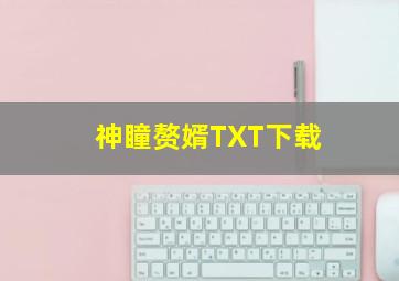 神瞳赘婿TXT下载