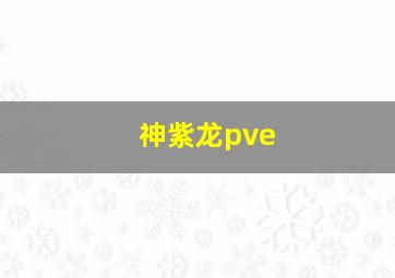 神紫龙pve