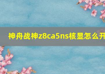 神舟战神z8ca5ns核显怎么开