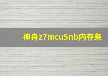 神舟z7mcu5nb内存条