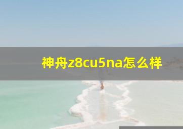 神舟z8cu5na怎么样