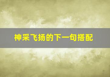 神采飞扬的下一句搭配