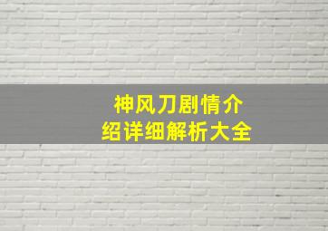 神风刀剧情介绍详细解析大全