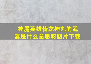 神魔英雄传龙神丸的武器是什么意思呀图片下载