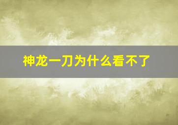 神龙一刀为什么看不了