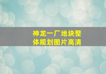 神龙一厂地块整体规划图片高清