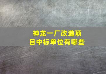 神龙一厂改造项目中标单位有哪些