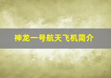 神龙一号航天飞机简介