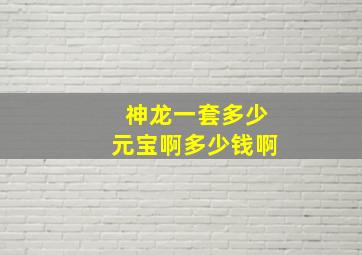 神龙一套多少元宝啊多少钱啊