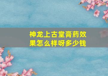 神龙上古堂膏药效果怎么样呀多少钱