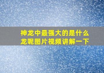 神龙中最强大的是什么龙呢图片视频讲解一下