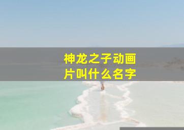 神龙之子动画片叫什么名字