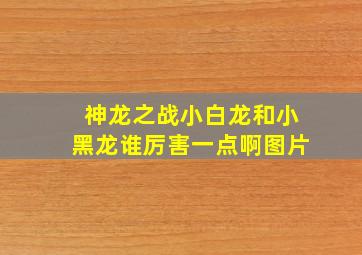 神龙之战小白龙和小黑龙谁厉害一点啊图片