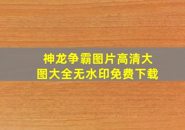 神龙争霸图片高清大图大全无水印免费下载