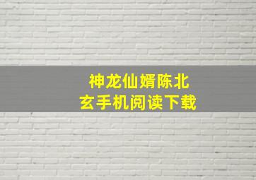 神龙仙婿陈北玄手机阅读下载