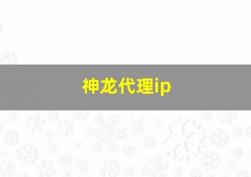 神龙代理ip