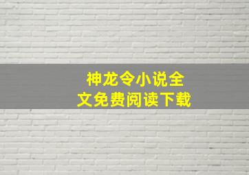 神龙令小说全文免费阅读下载