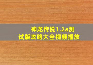 神龙传说1.2a测试版攻略大全视频播放