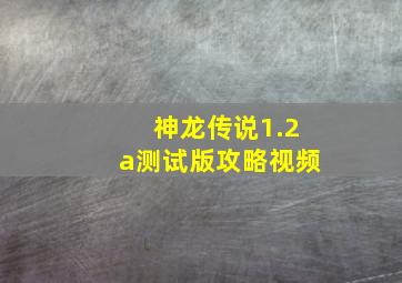 神龙传说1.2a测试版攻略视频