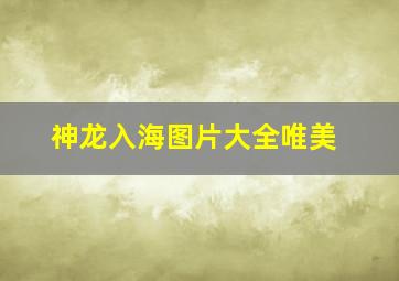 神龙入海图片大全唯美