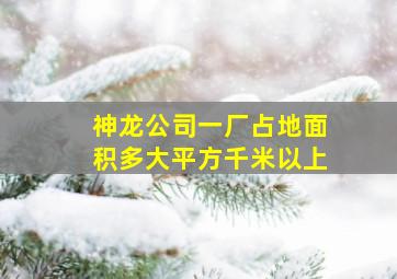 神龙公司一厂占地面积多大平方千米以上