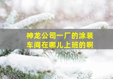 神龙公司一厂的涂装车间在哪儿上班的啊