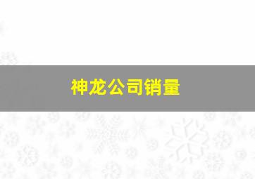 神龙公司销量