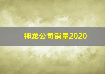 神龙公司销量2020